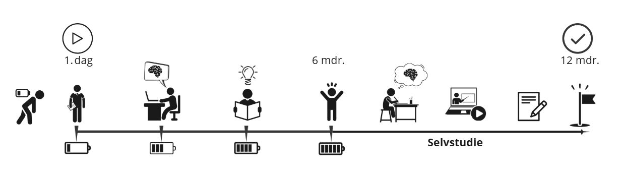 Procesoversigt for individuel mentaltræning: fra første dag over træning og undervisning til selvstudie efter 12 måneder